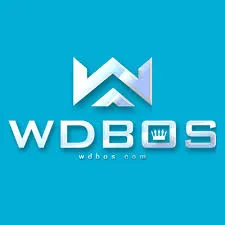 WDBOS - Petualangan Arcade Penuh Tantangan